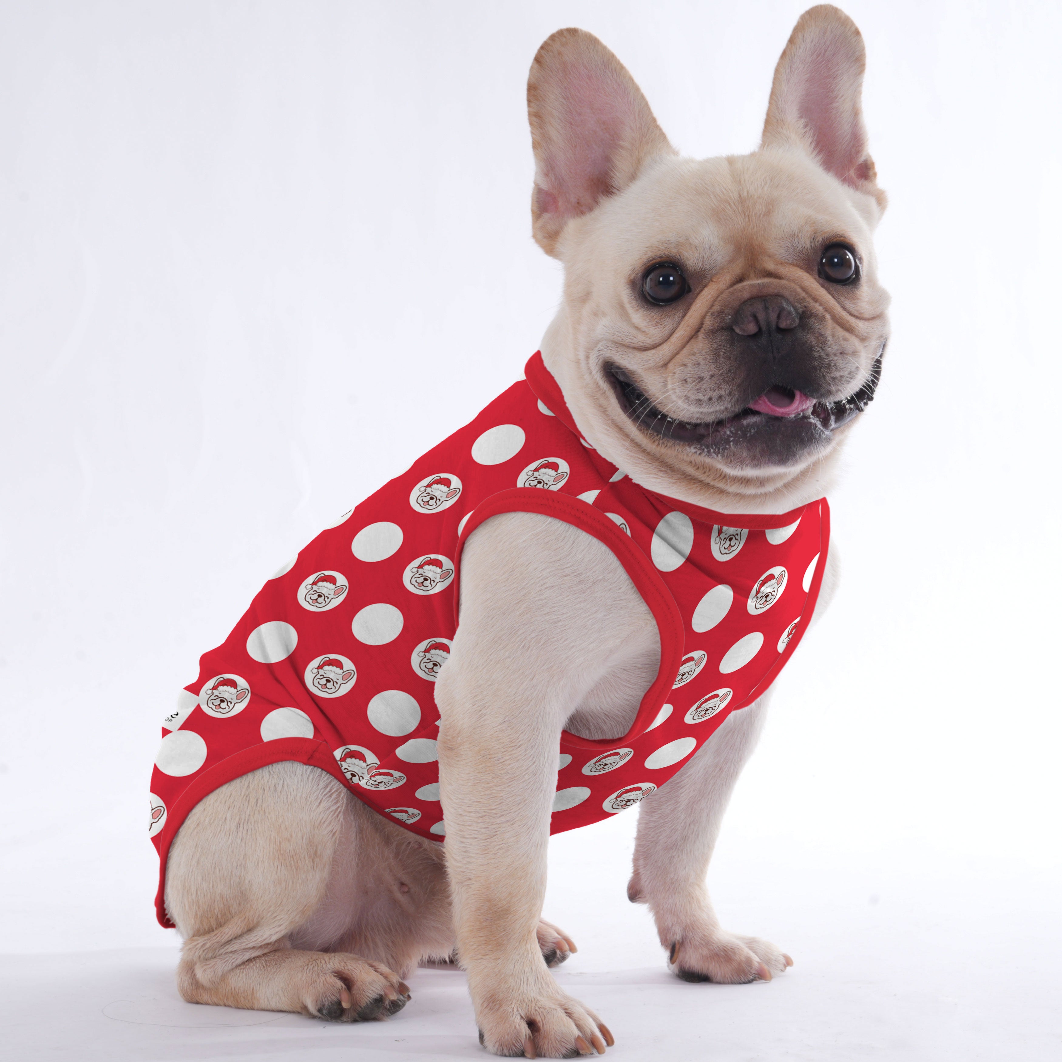 Papillon - Shirt for Frenchies - Frenchie Shop Original