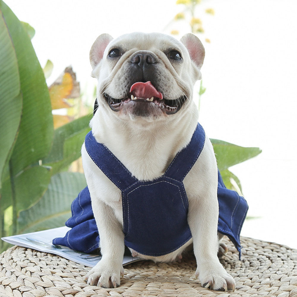 Frenchie Stylish Denim Dress and Vest