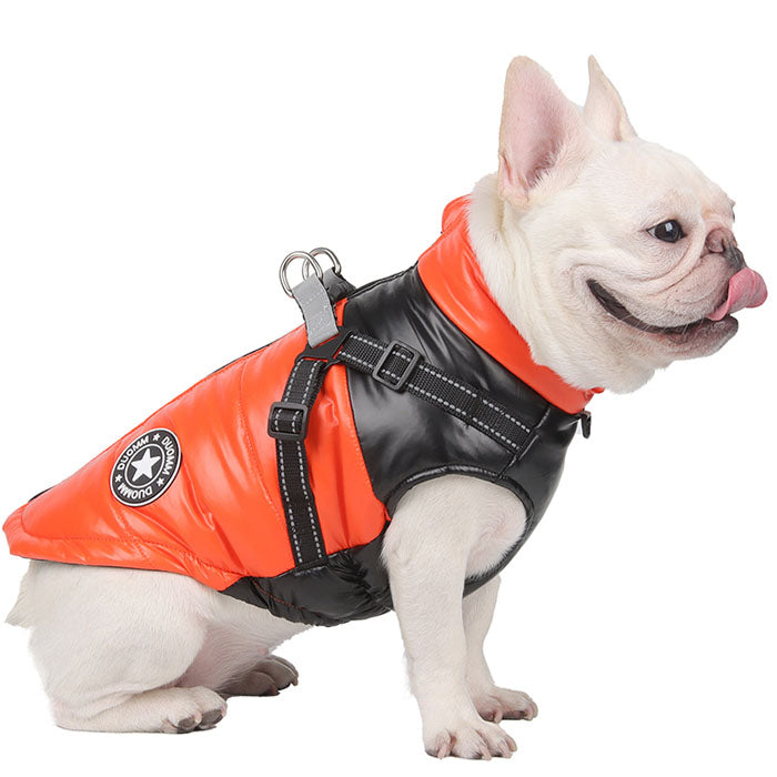 Outdoor-Adventure French Bulldog Winter Jacket With Reflective Harnes...