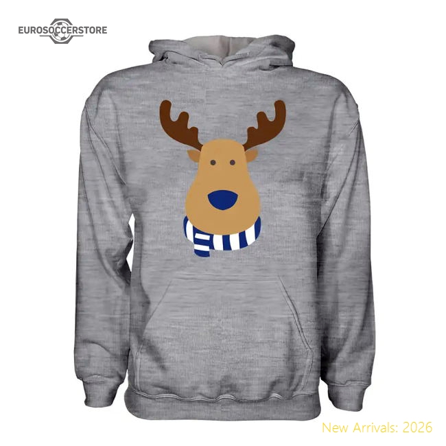 Birmingham City Rudolph Supporters Hoody (grey) - Kids