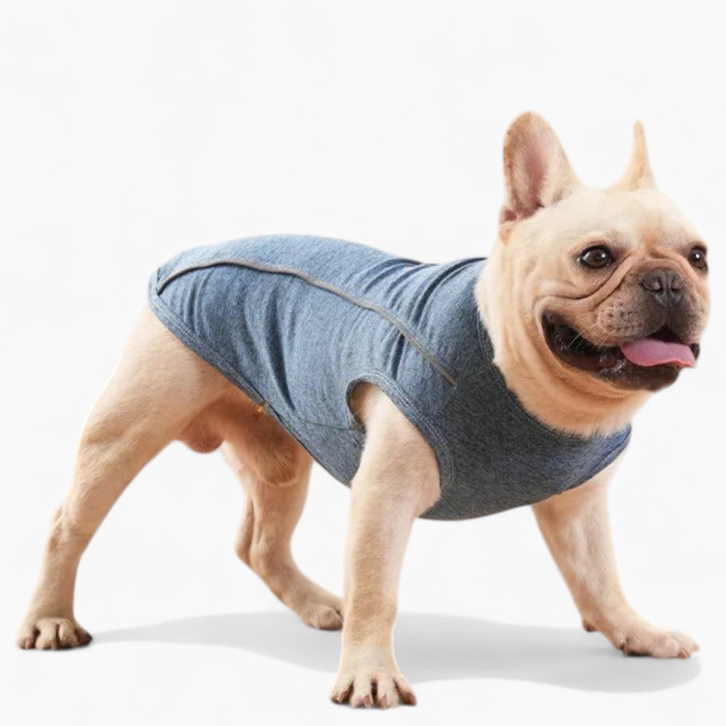 French Bulldog Summer Vest – Reflective Breathable Soft Sleeveless T-shirt