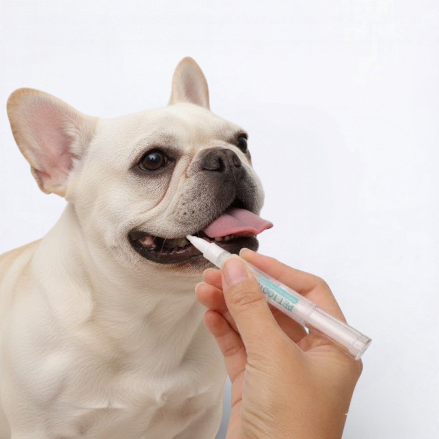 Pen – Portable Dog Teeth Cleaning Pen Indoor Use | Breed-optimized