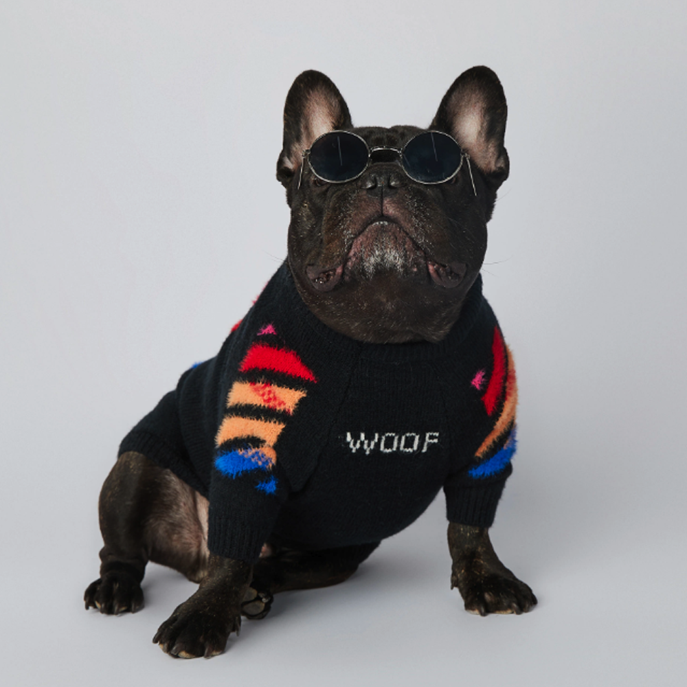 Inspired Frenchie Woof Winter Sweater V3 Casual Wear | Trendy Style