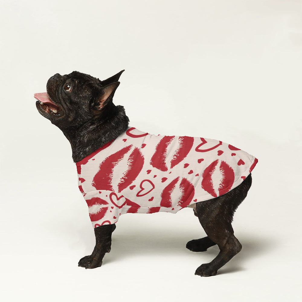 Stylish Boone - Wool Sweater For Frenchies for Daily Life Stylish