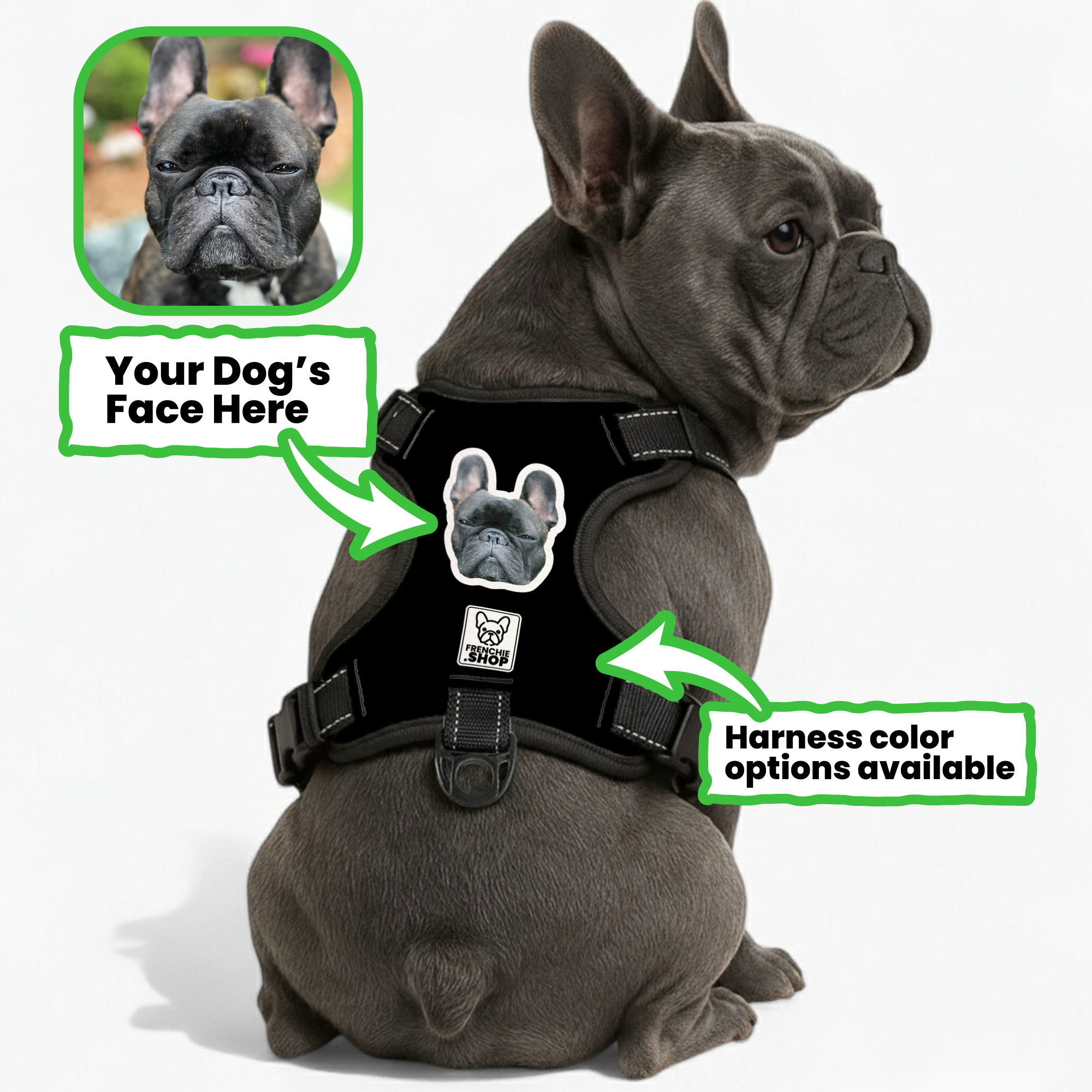 Breed-Designed Esther - Personalized No-pull French Bulldog Dog Harne...