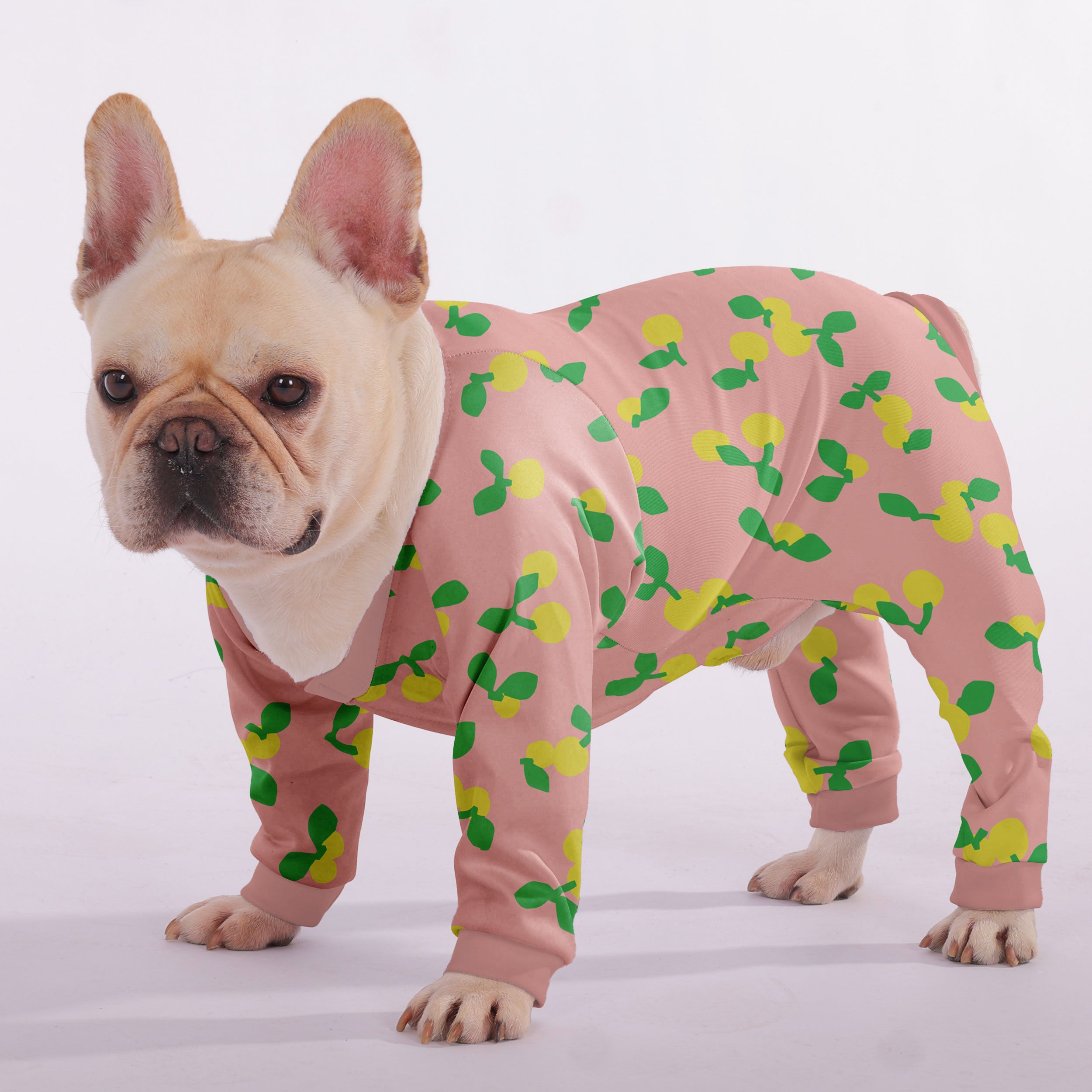 Luna - Bulldog Frenchie Pajama Pet Gear | Safe For Paws
