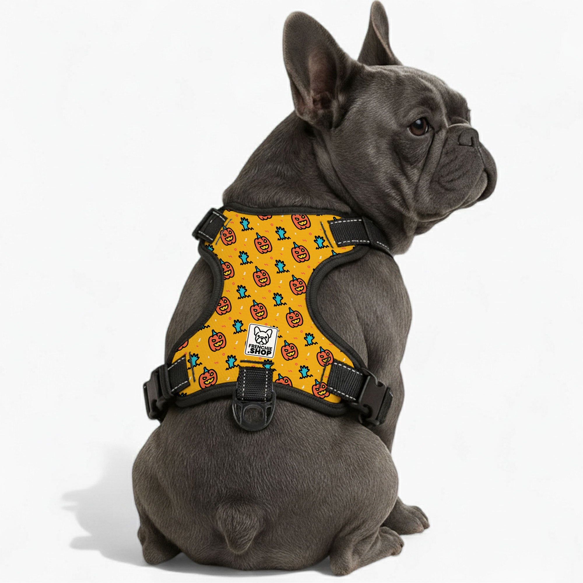 Breed-Designed Aster - No-pull French Bulldog Dog Harness for Stocky