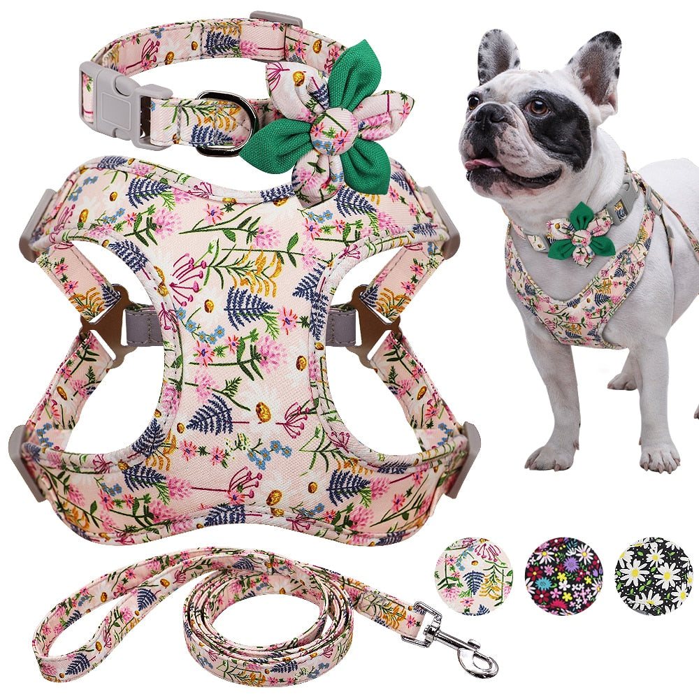 Puppy-Safe Flower Printed Harness Set For French Bulldog (ws243) for ...