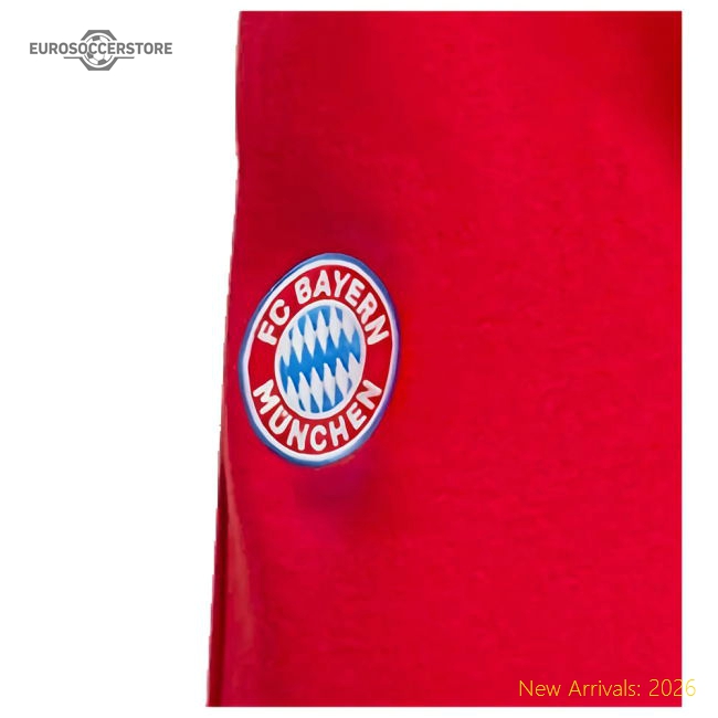 Supporter Top-Quality 2024-2025 Bayern Munich Dna Pants (Red)