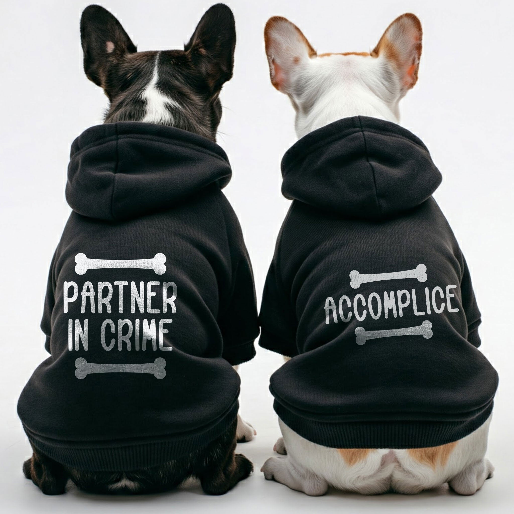 French Bulldog Partner In Crime And Accomplice Matching French Bulldog