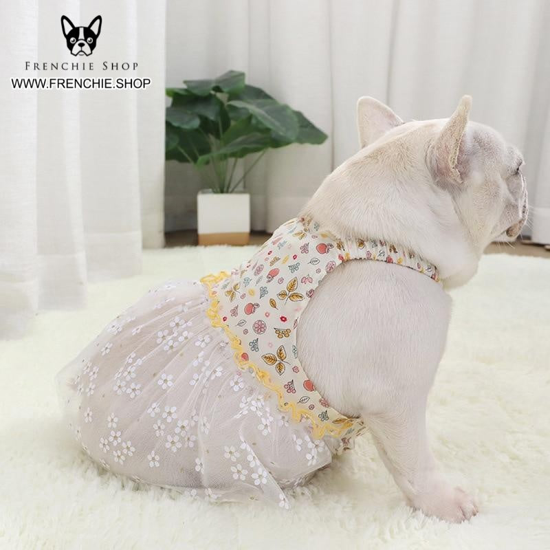 Fruit - Non-slip Skirt Frenchie Summer Dress (w319) Winter Wear