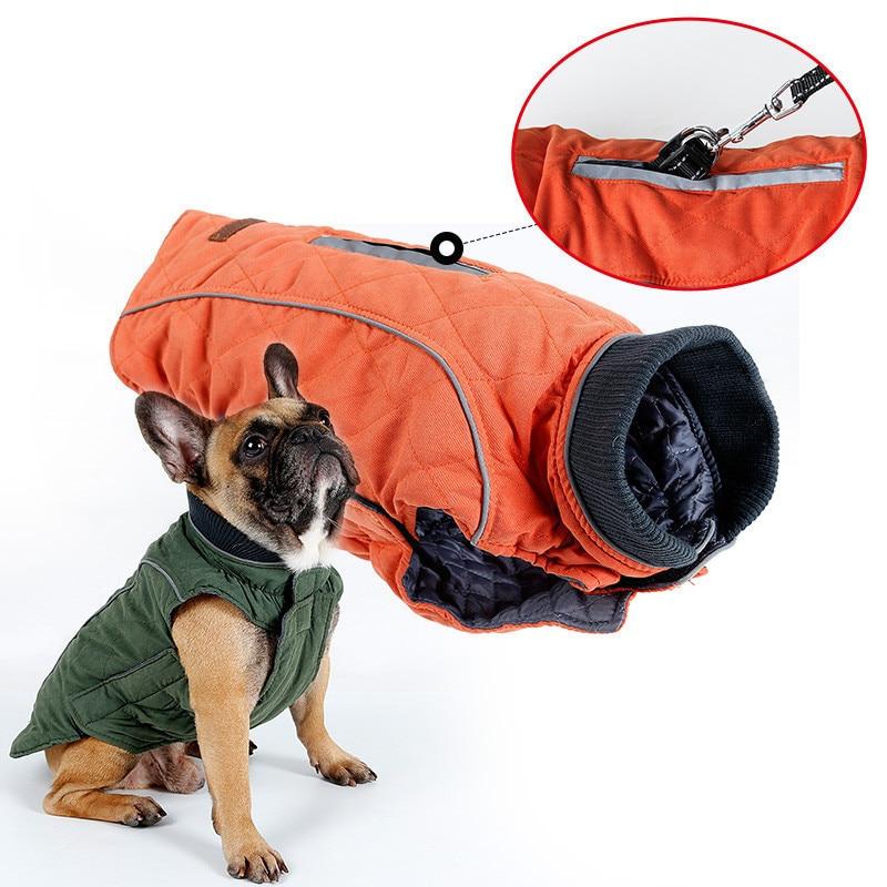 Cooper jacket - Frenchie Waterproof jacket (CS19)