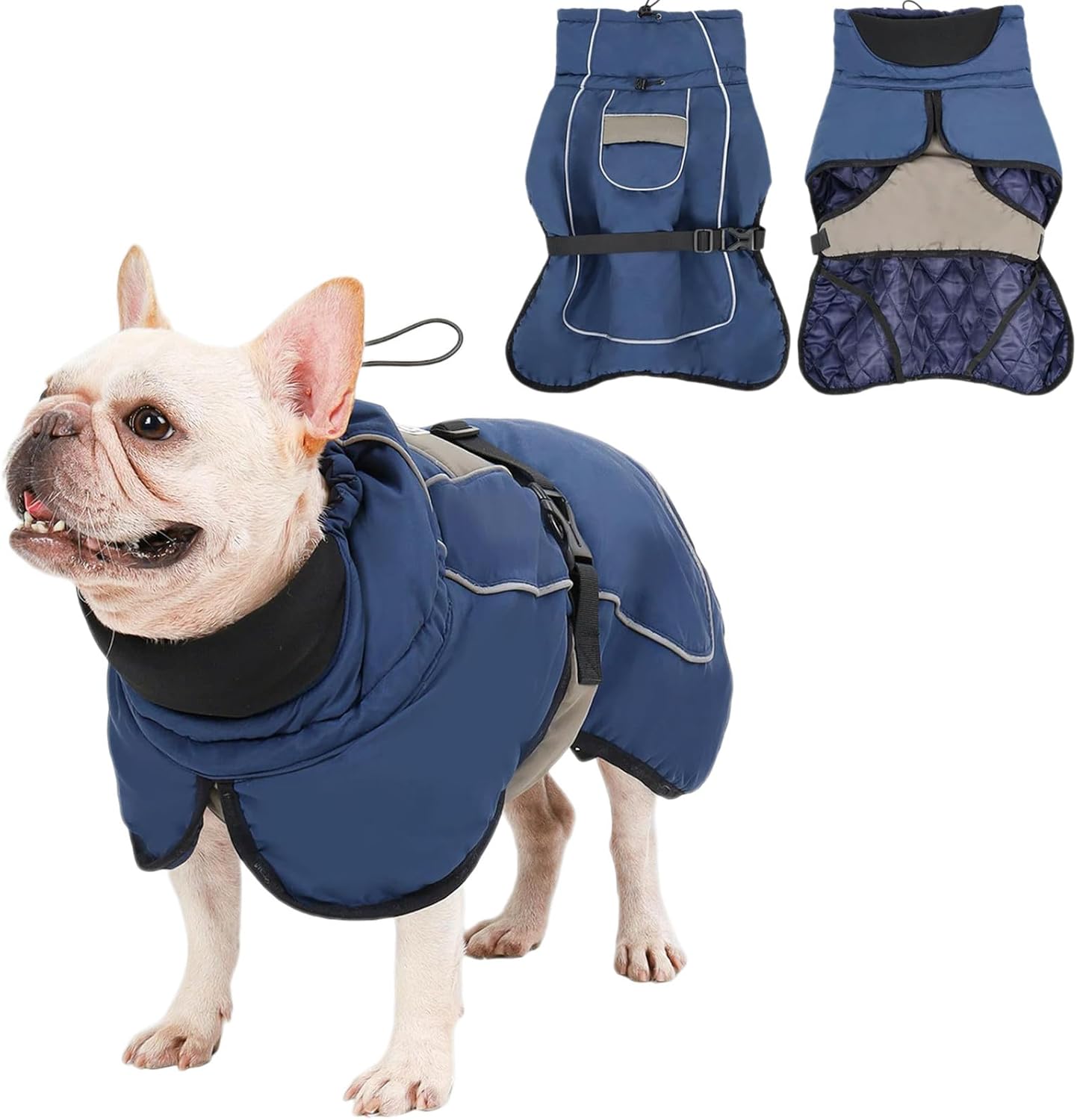 Weather-Resistant French Bulldog Winter Coat – Warm Dog Jacket With H...