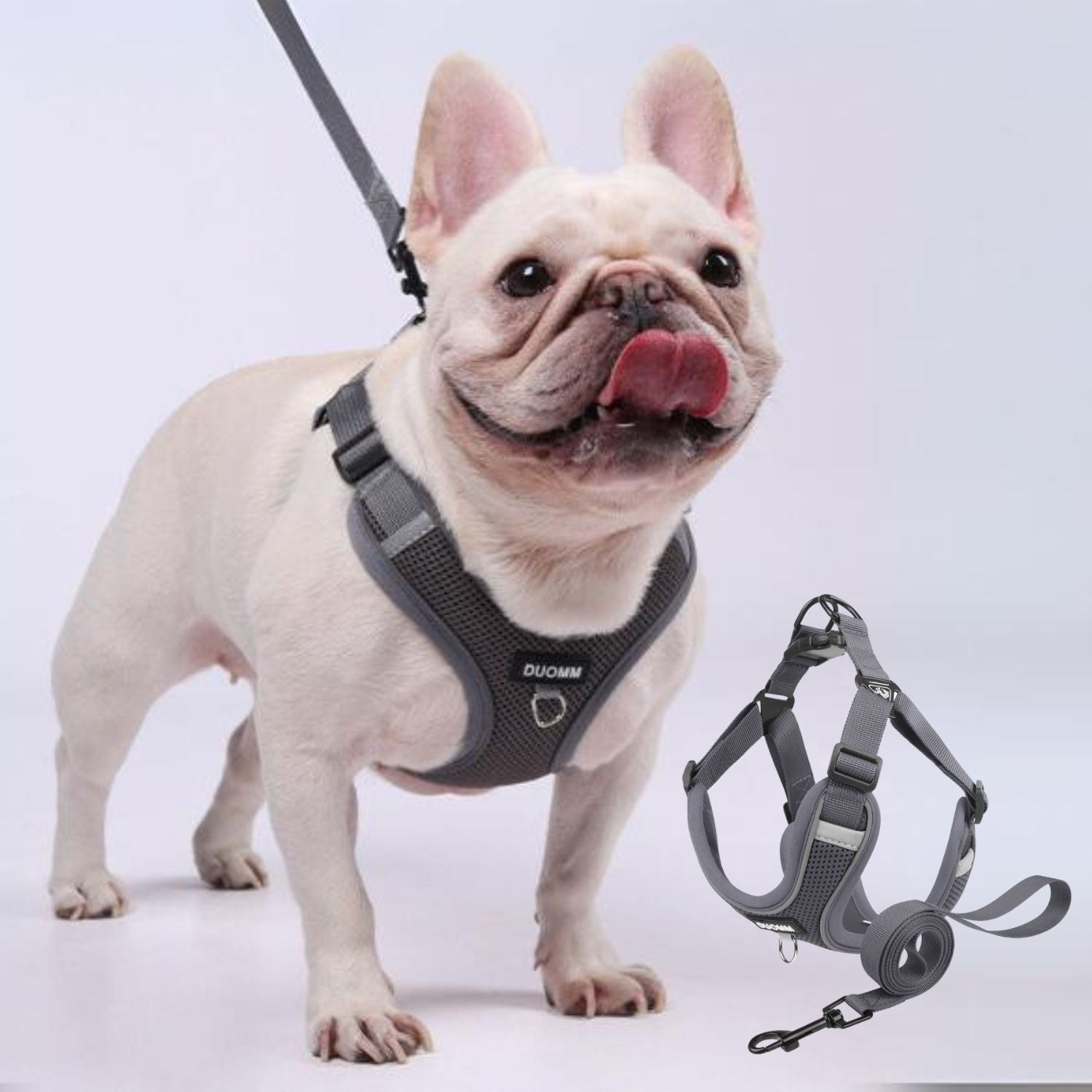 Pawzen Frenchie No Pull Harness with Explosion-Proof Design
