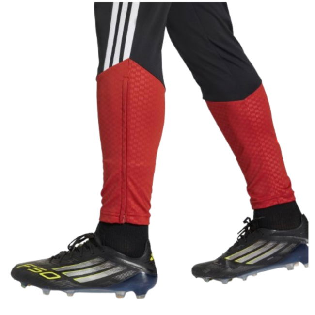 Athletic Organization Elite Performance True 2025-2026 Campaign Fan...