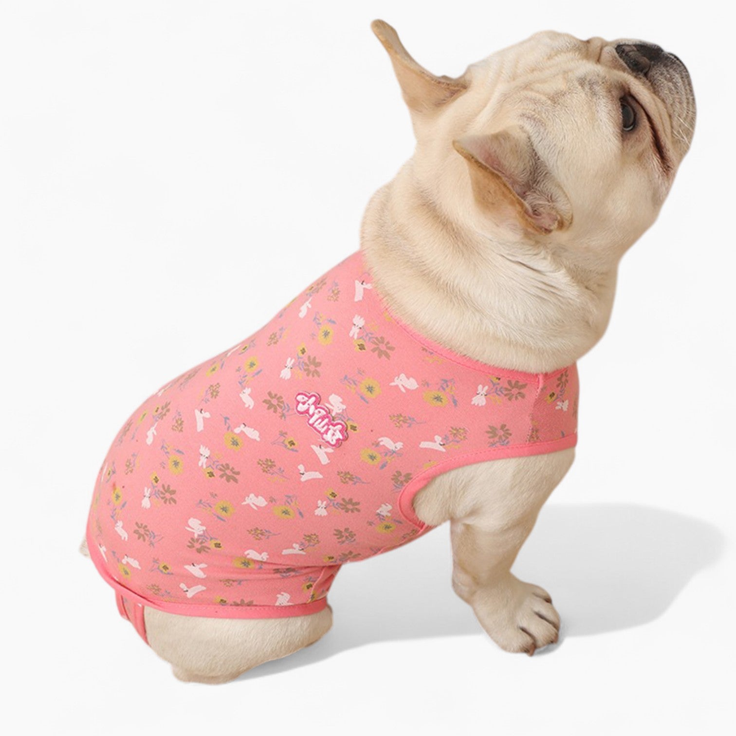 French Bulldog Lover Pawjoy French Bulldog Physiological Pants – Cute