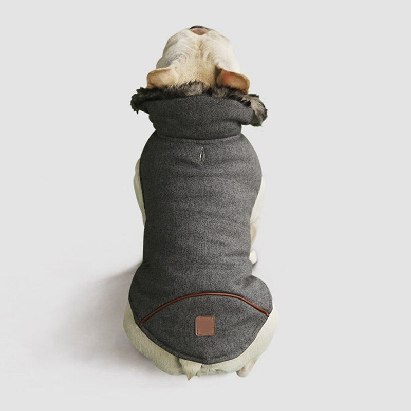 Bulldog Coat For Frenchie (cs031) For Frenchie Pups | Breed-optimized
