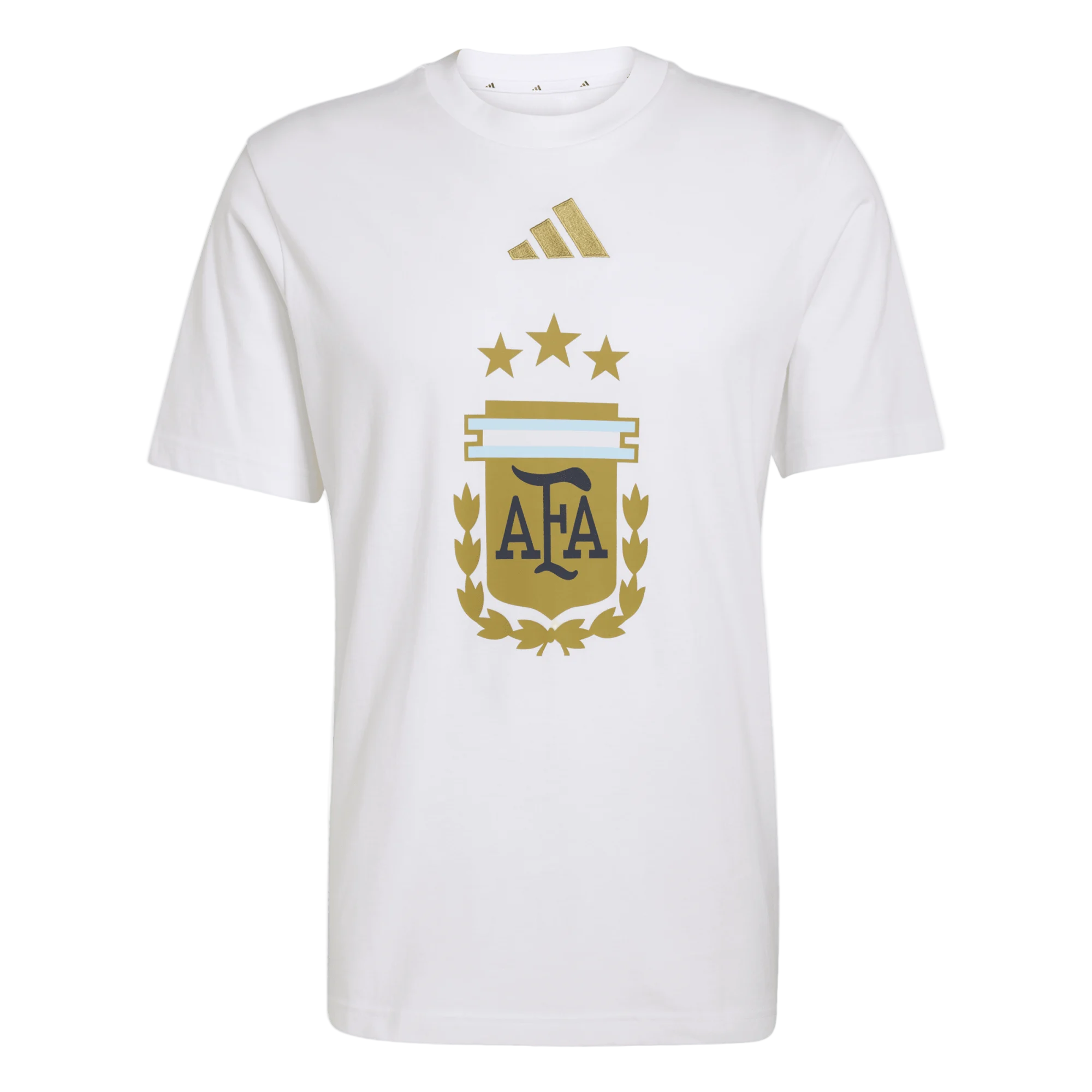 Argentina National Team 2025-2026 Season Third Shirt –  Collector Edition S
