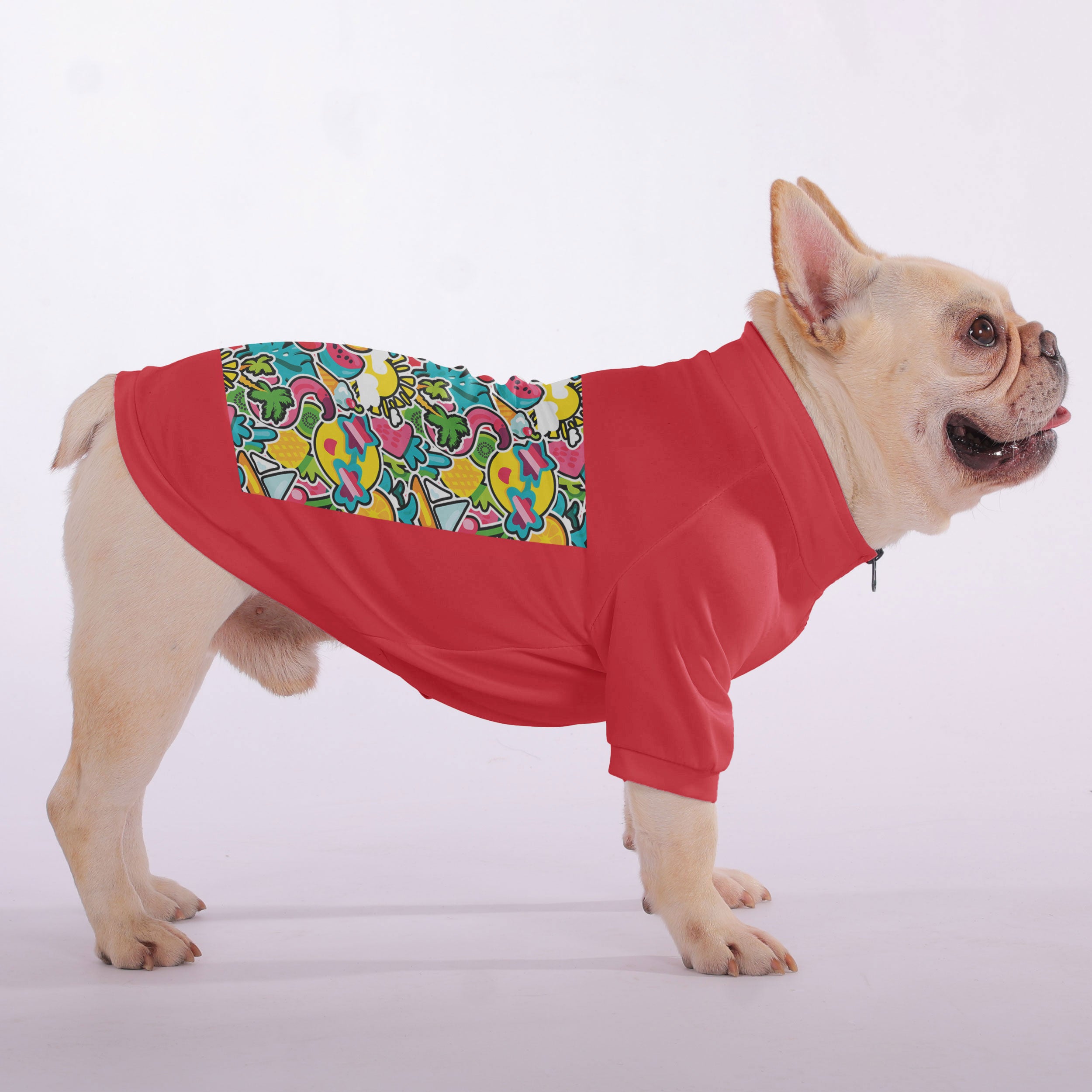 French Bulldog Apollo Snuggly Zip Up Sweatshirt For French Bulldogs Durable Dog Item