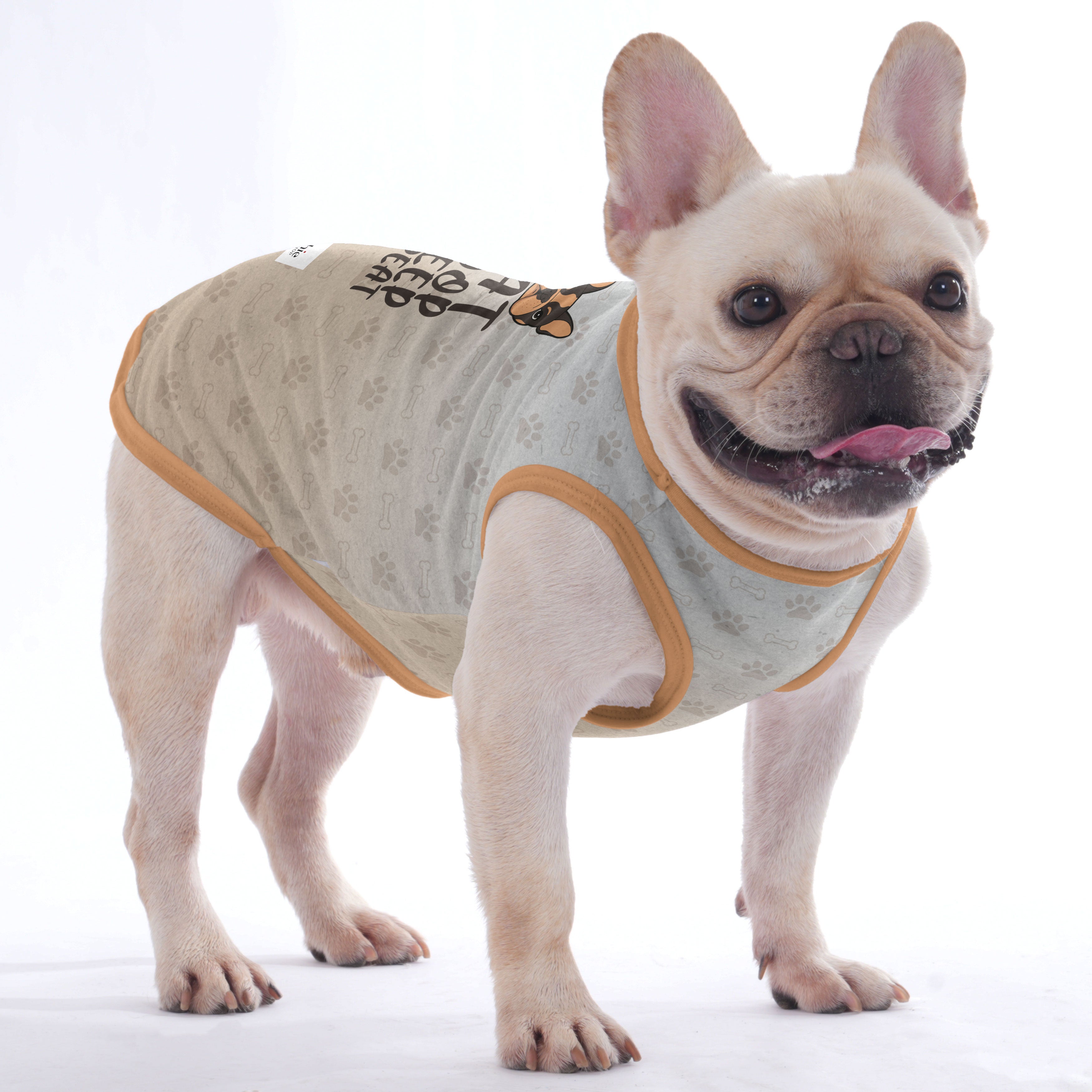 - Casual Shirt For Frenchies - Frenchie Shop Original For Frenchie Fans