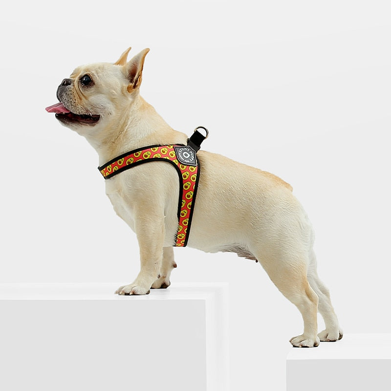Durable Lightlatch No Pull Frenchie Reflective Harness for Outdoor Use