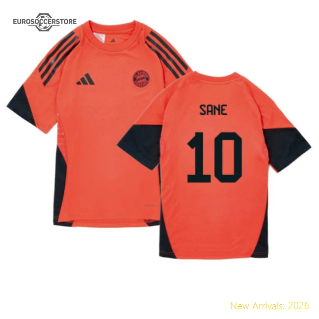 Bayern Munich 2024-25 Fan Version For Kids (Sane Soccer Jersey