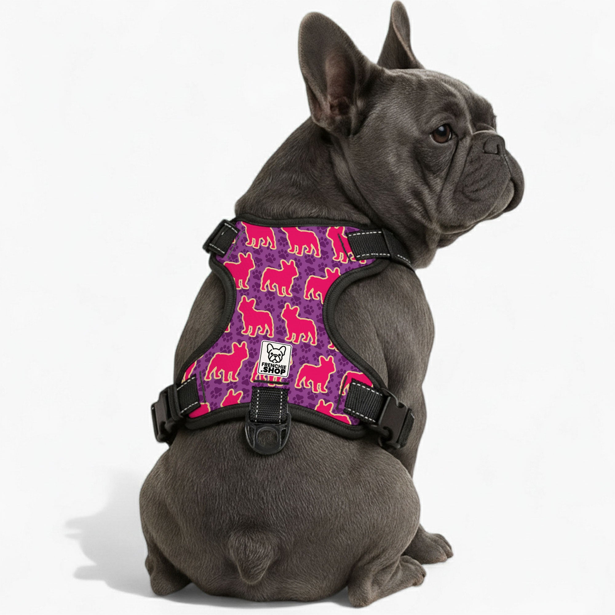 Mansel - No-Pull French Bulldog Dog Harness