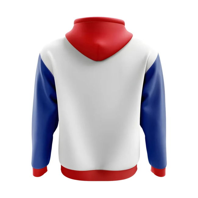 Jersey Slovenia Concept Country Football Hoody (White) Performance