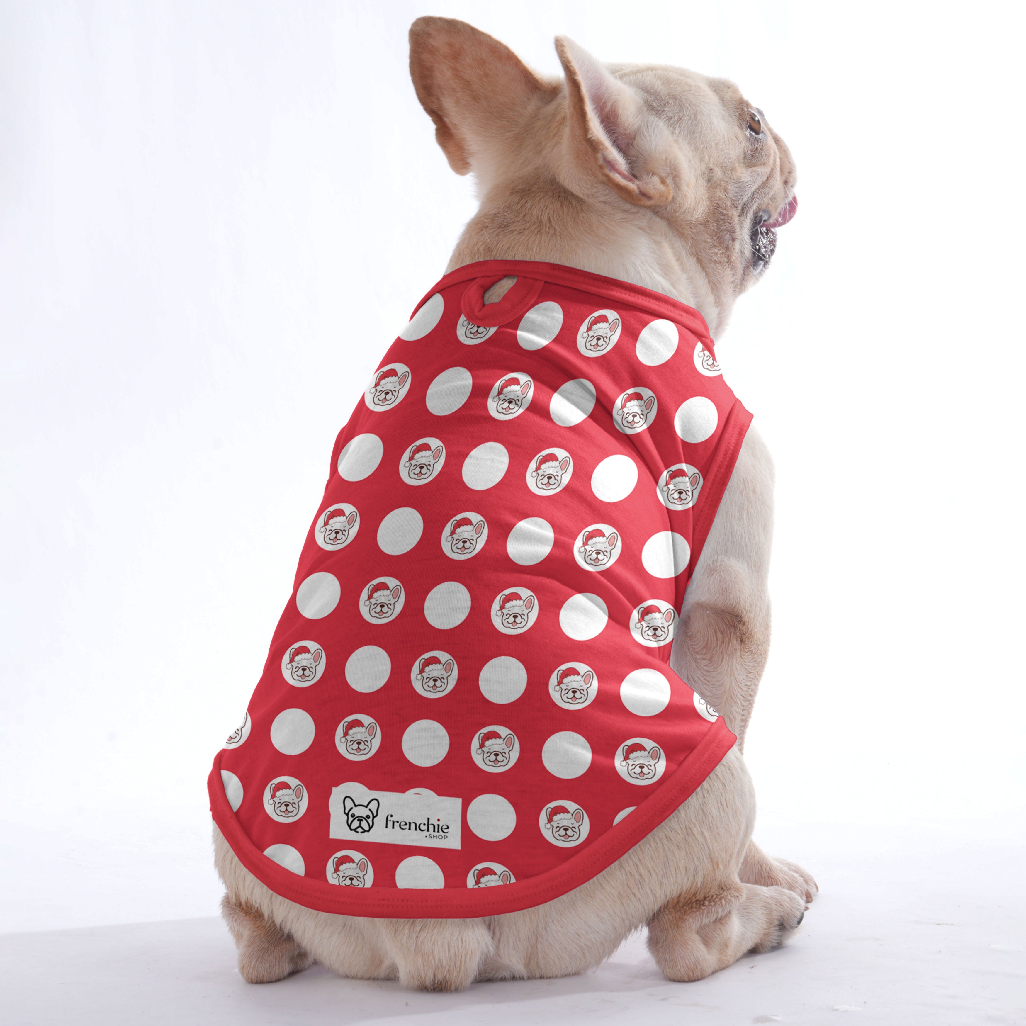 Comfortable Papillon - Shirt For Frenchies - Frenchie Shop Original as a