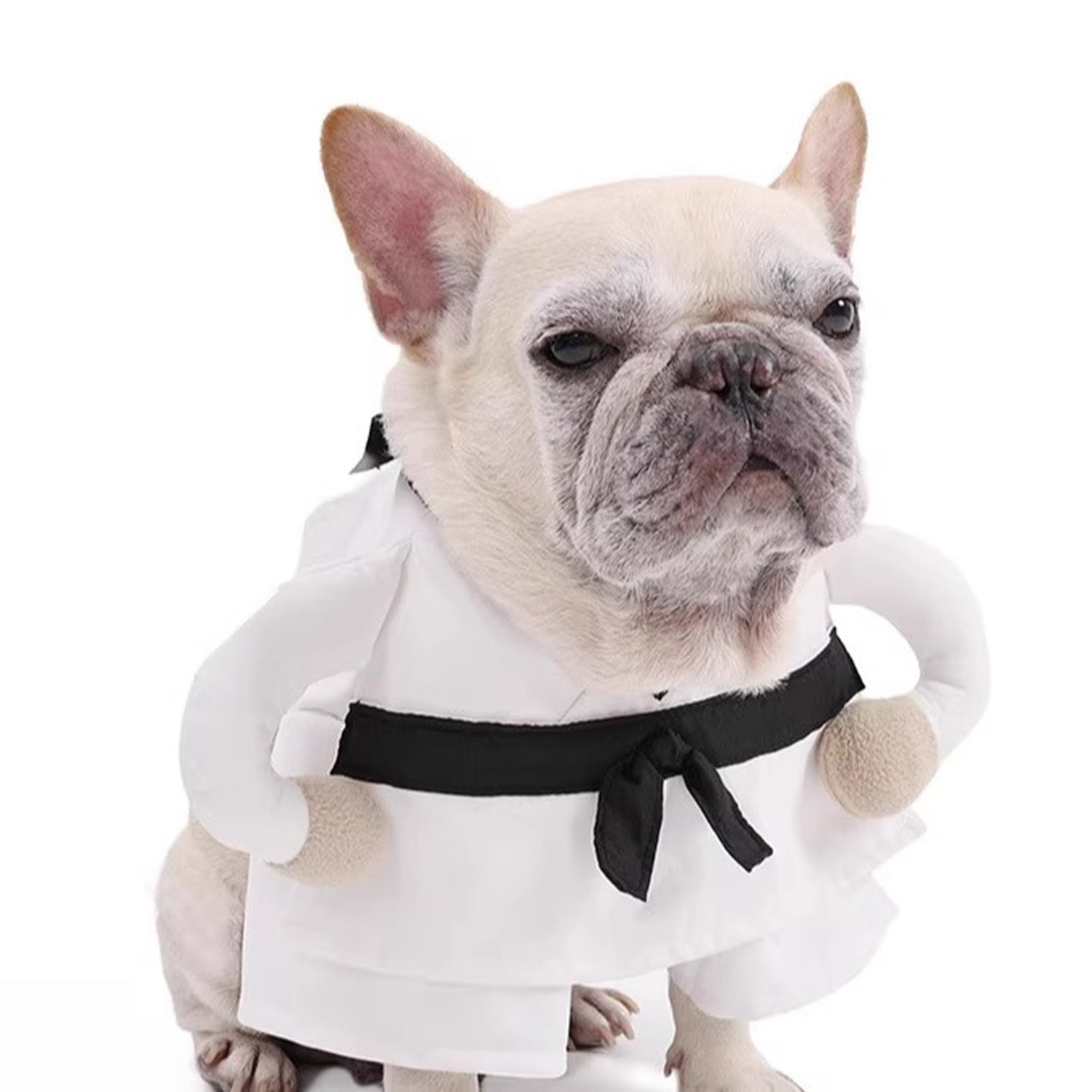 JiuPup Frenchie Martial Arts Costume – Funny Halloween Cosplay Outfit