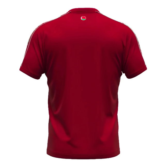 Belarus Home Shirt 2024-2025 edition (Unisex