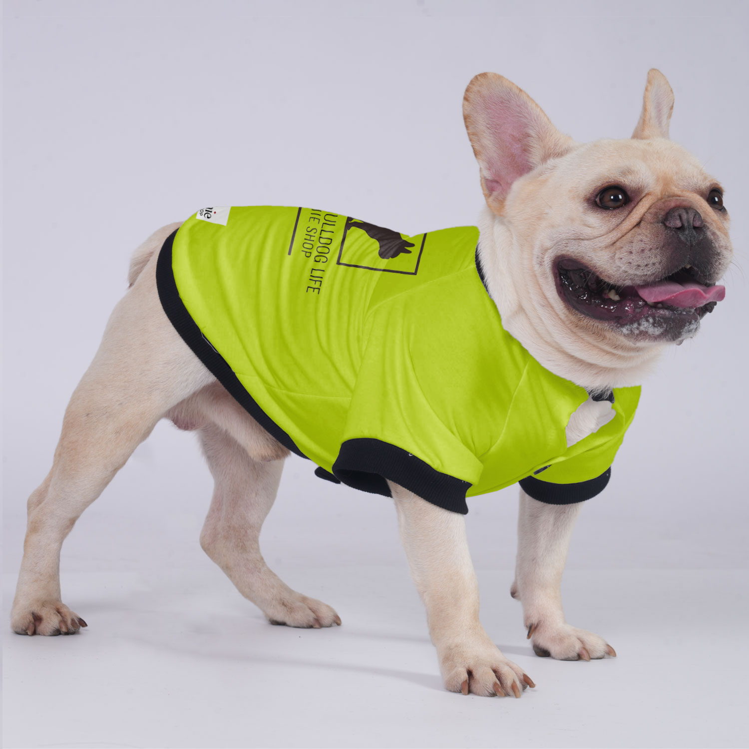 French Bulldog Max Jacket For French Bulldog Cozy Pet Winter Wear