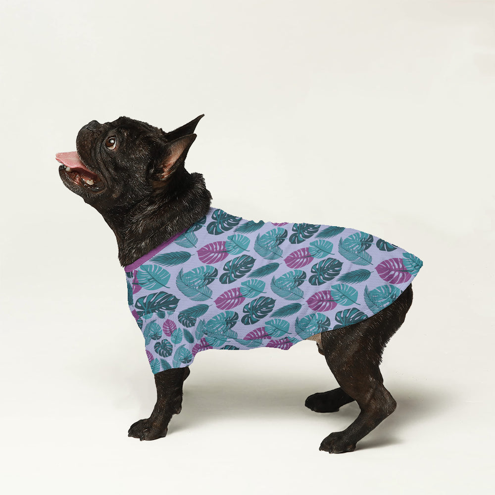 - Stylish Wool Sweater For Frenchies Pet Owner Apparel | Stylish Look