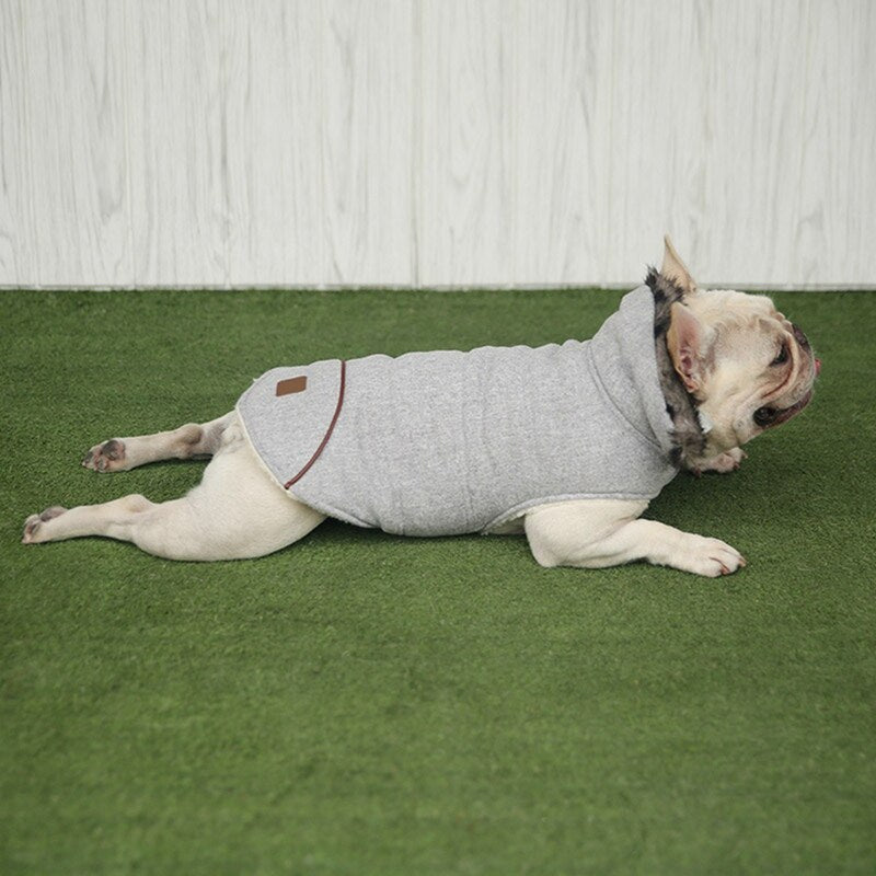 Frenchie-Fan Cotton Coat For Frenchie (cs031) for Pet Enthusiasts