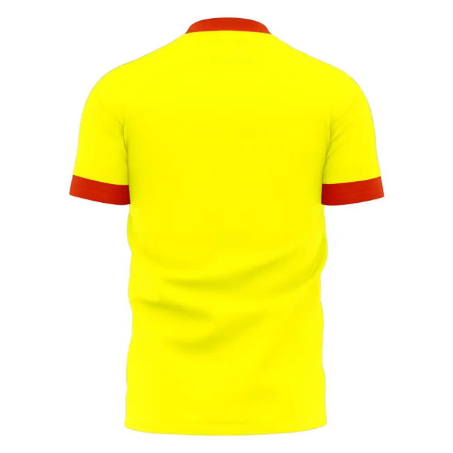 Le Mans 2025-2026 Home Concept Football Kit (Libero) - Womens