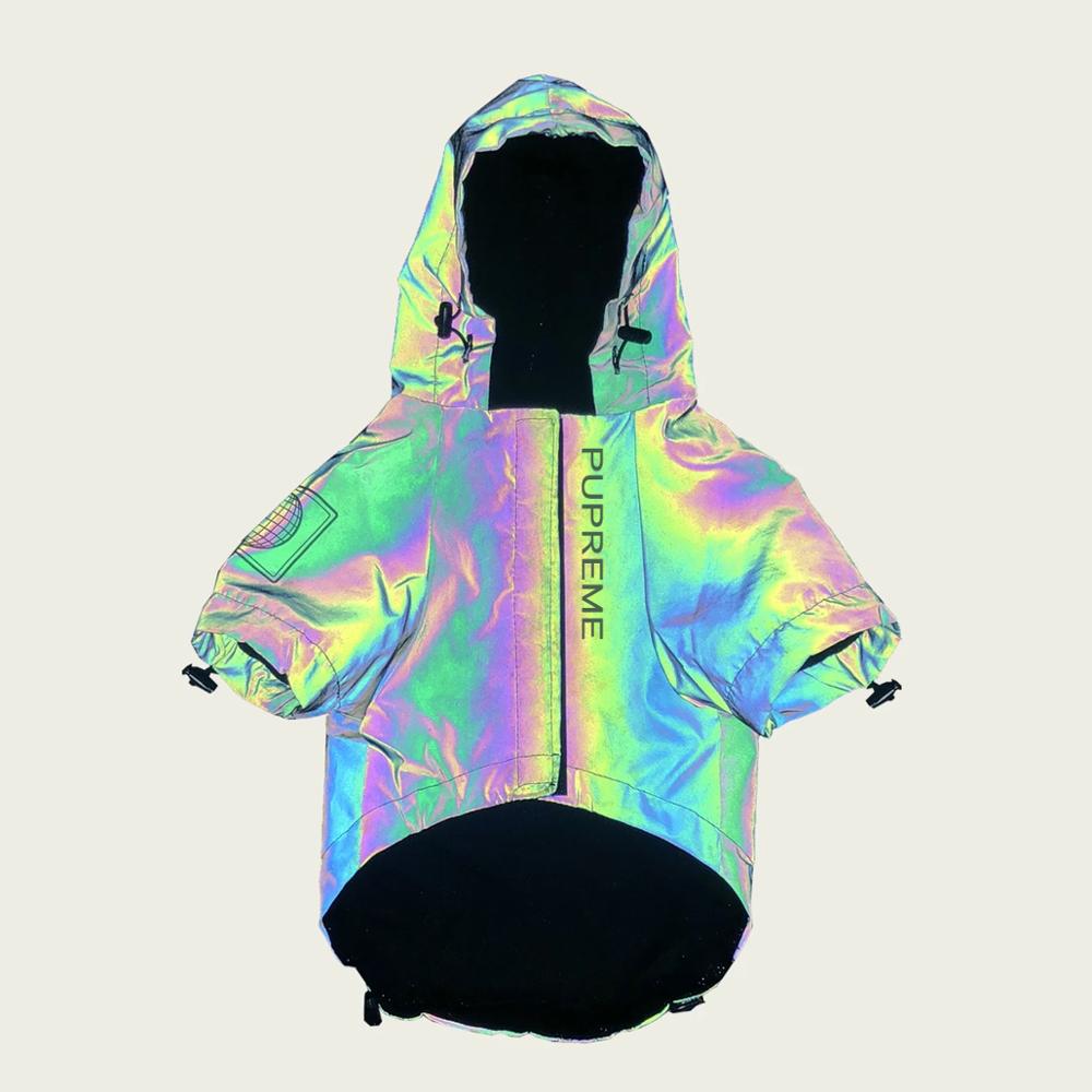 Fashion-Forward Reflective French Bulldog Jacket (ws39) as a Gift