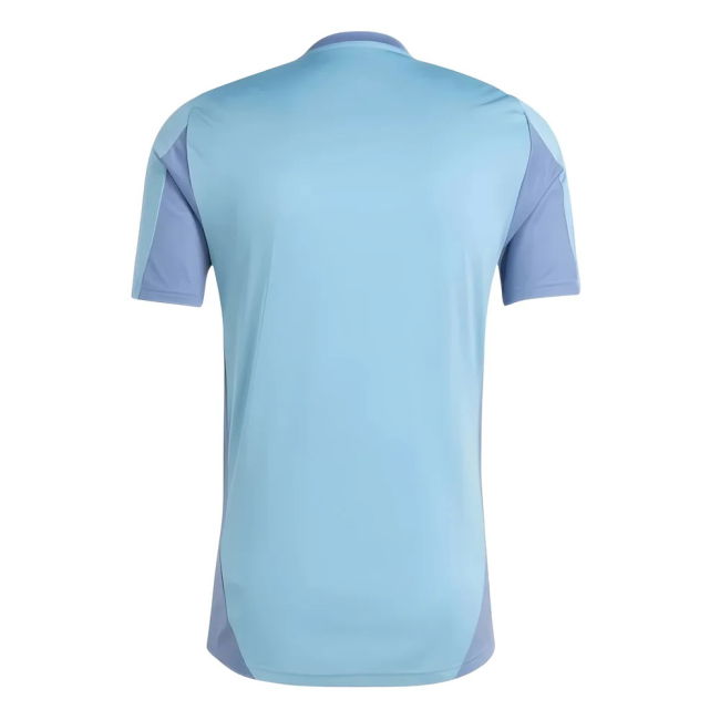 Genuine Workout Shirt Carlos Tevez #10 Retro Collection Best Val (v4)