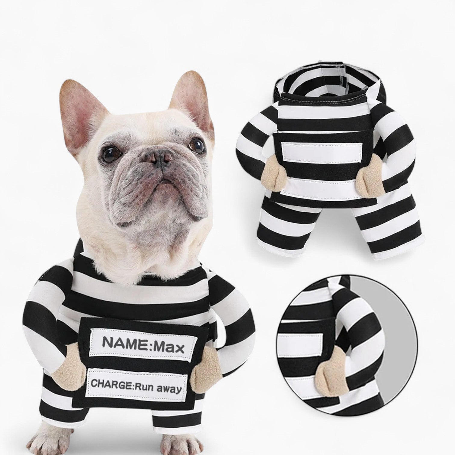Halloween Outfit With Custom Id Tag Winter Wear | Breed-optimized