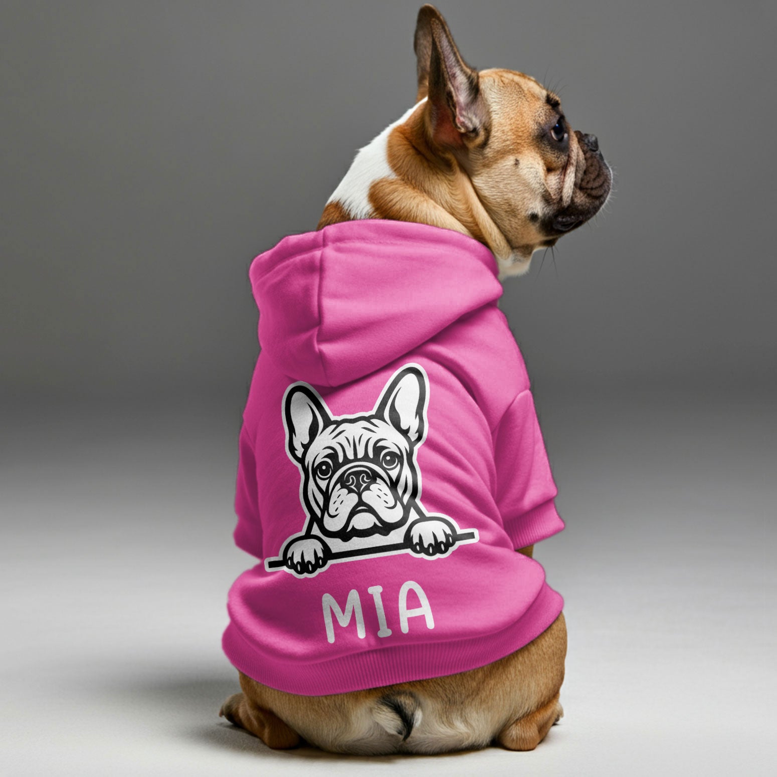 French Bulldog Mia Personalized French Bulldog Hoodies With Funny