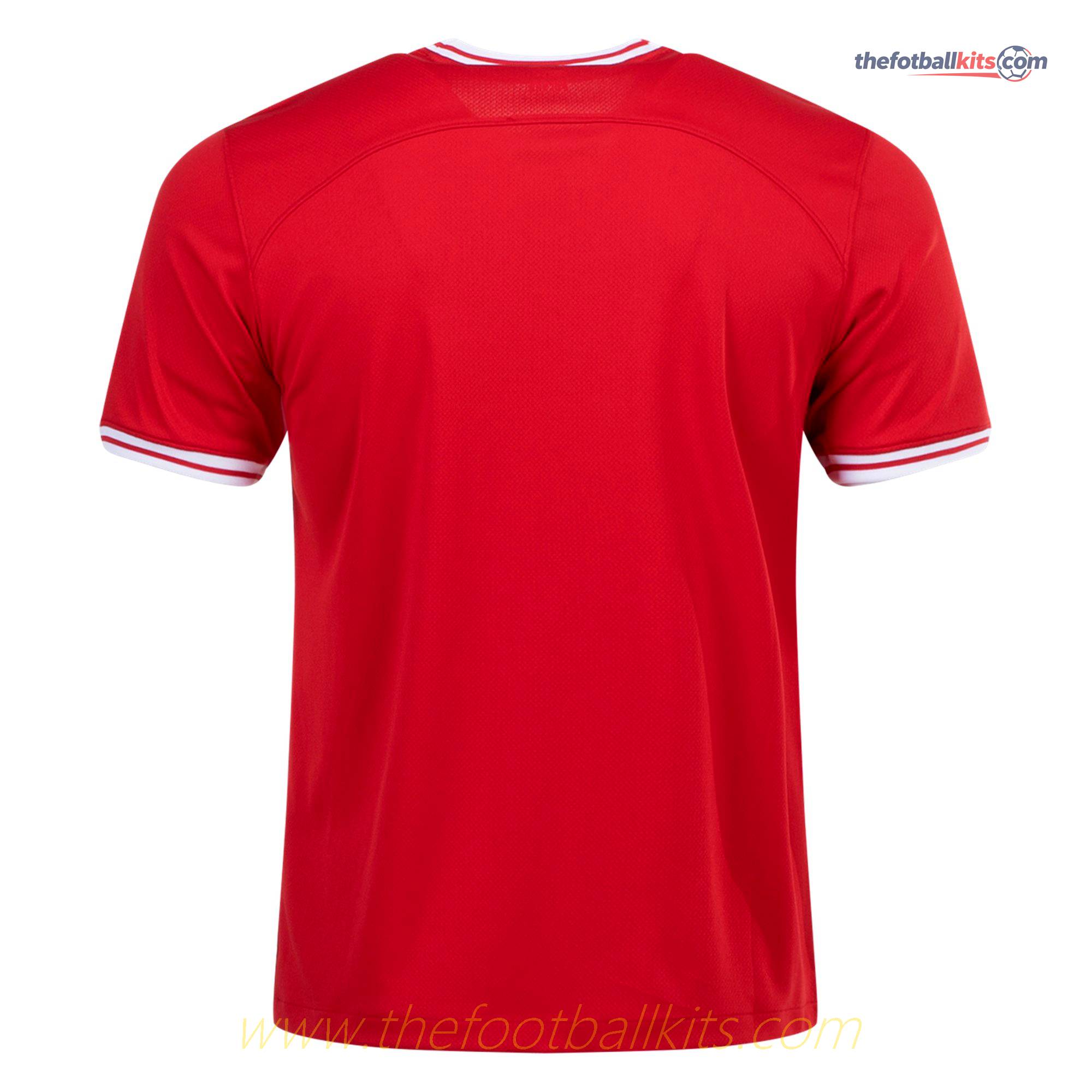 Poland 2022 World Cup Away Kit