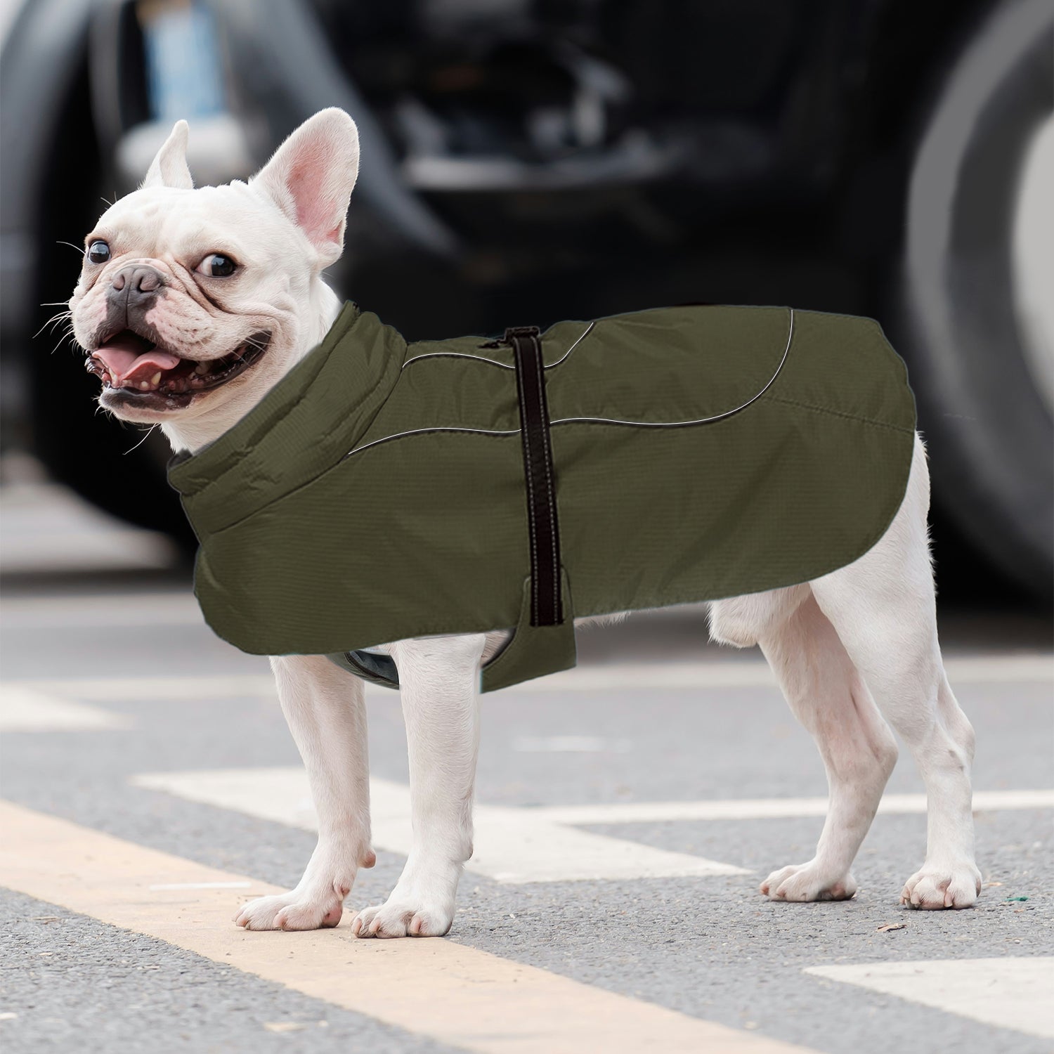 Frenchie Belly-fitting Cotton Jacket Cozy And Comfortable Paw Protection