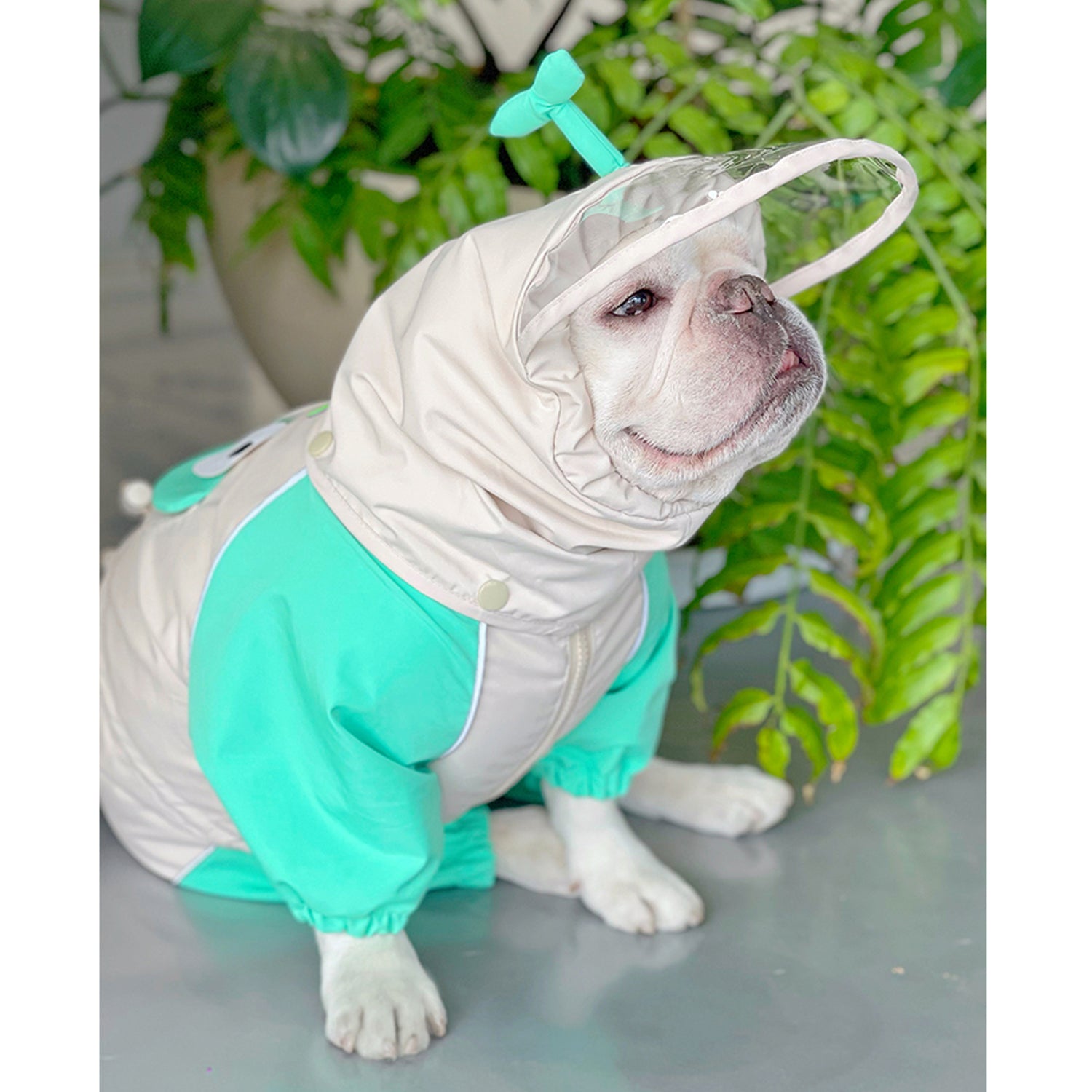 French Bulldog Froglet Frenchie Raincoat – Cute Waterproof Dog Jacket