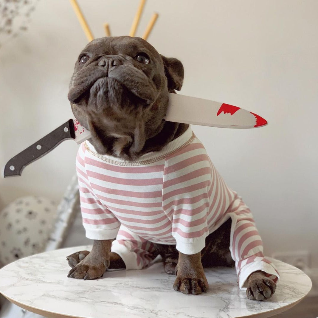Halloween - Safe Accessories For French Bulldog Outdoor Use
