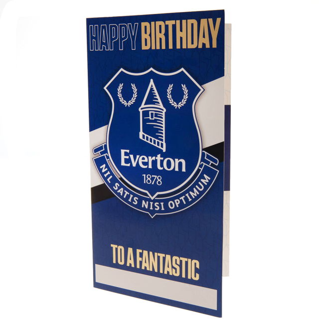 Original 2025-2026 Everton English Football Home Kit