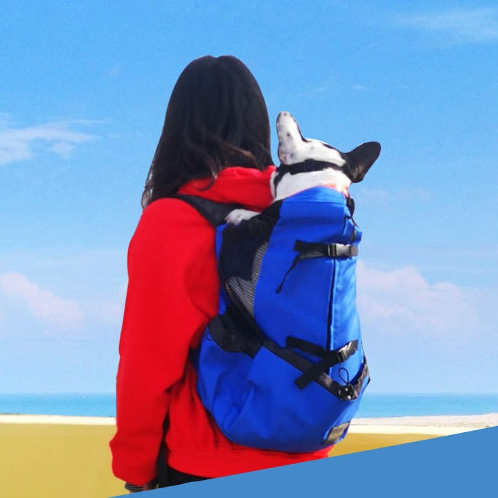 Durable Premium Frenchie Backpack™ [v1] (cs03) Indoor Use