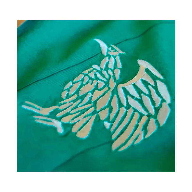 Official Licensed Mexico Home Fan Jersey for Adults