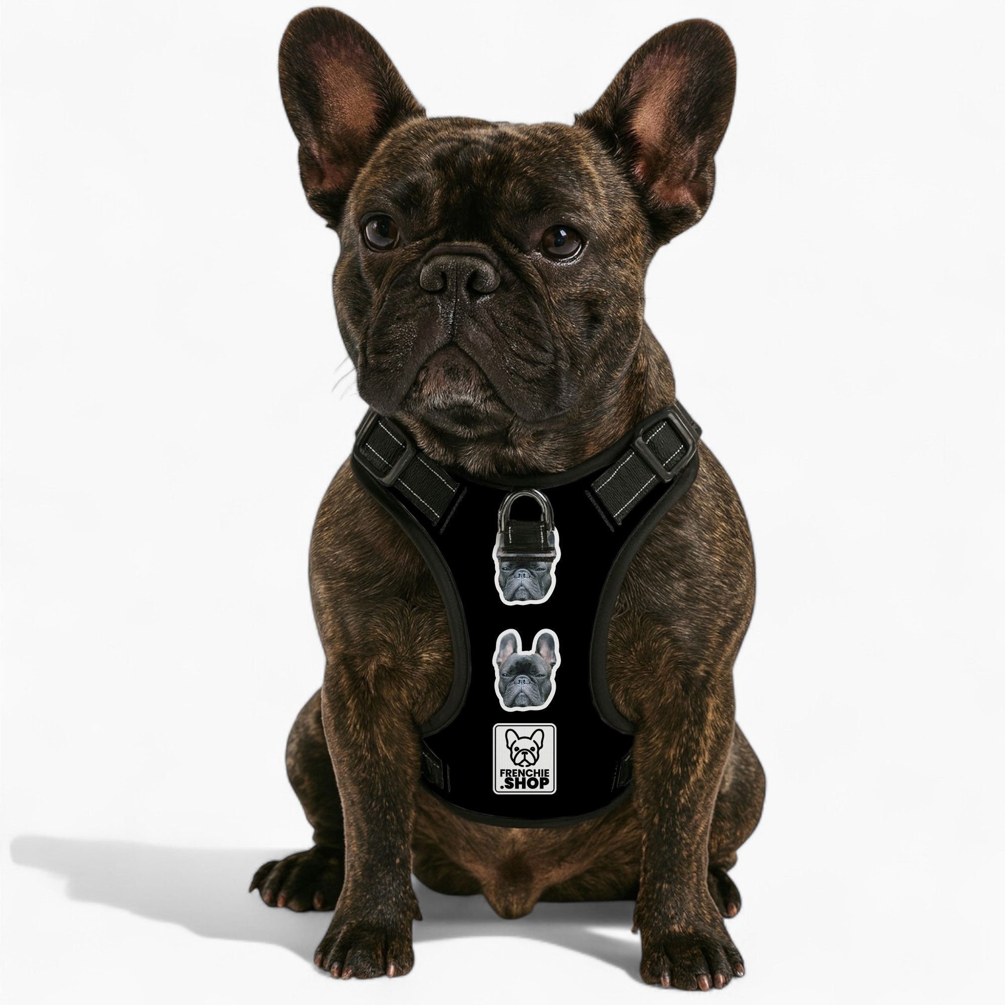 Breed-Designed Esther - Personalized No-pull French Bulldog Dog Harne...