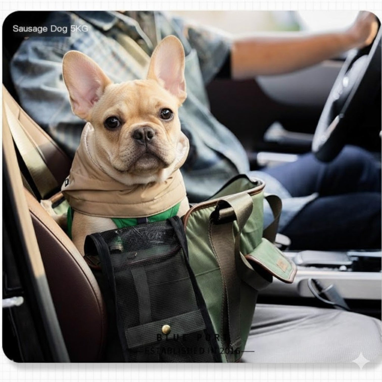 PupVoyage™ Frenchie Backpack Carrier – Multifunctional Shoulder Dog Travel Bag