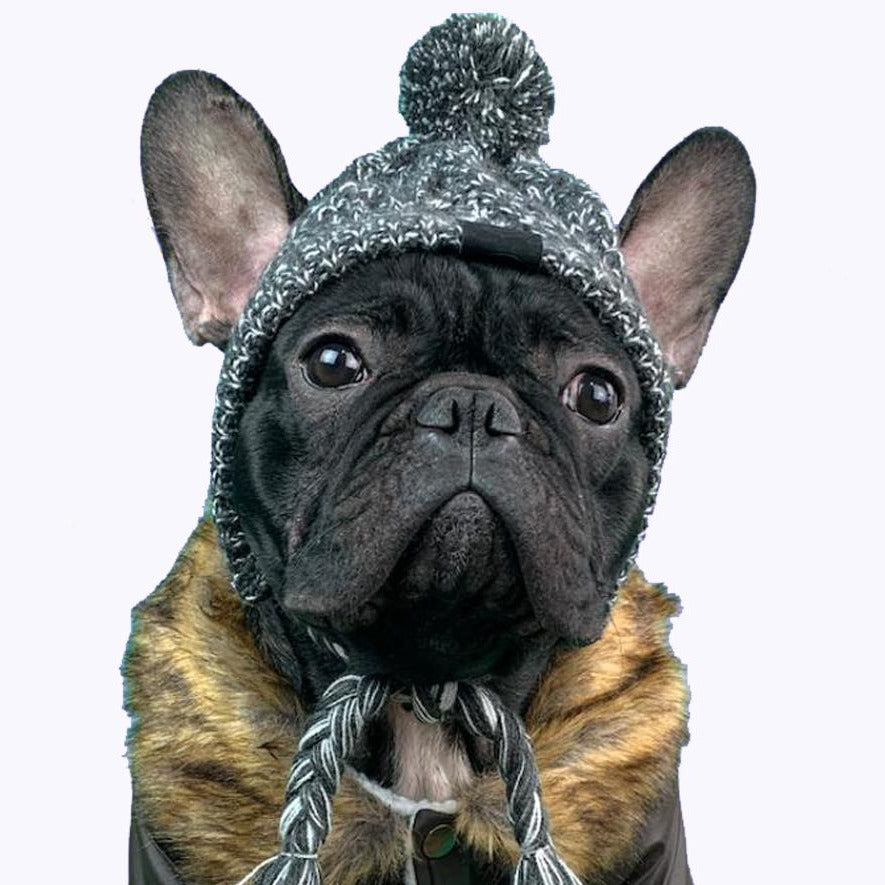Windproof Woolen Winter Cap for French Bulldog (WS312)