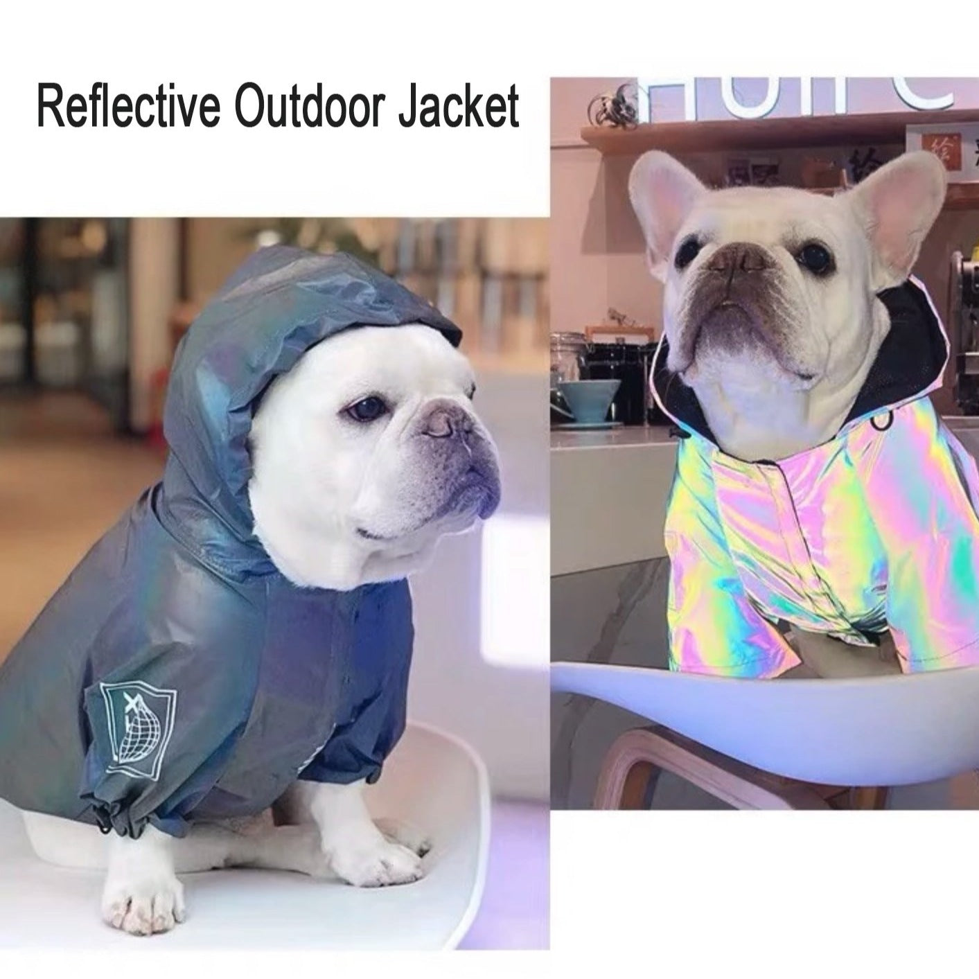 Reflective French Bulldog Jacket (WS39)